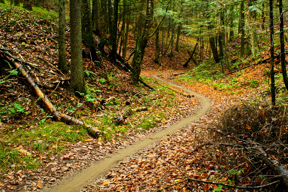 Kingdom-Trails-Burke-Vermont