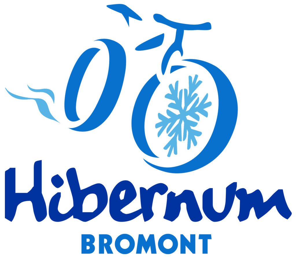 Infovelo.com---Hibernum_Logo-1-1024x891